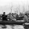 Kashmir. Srinagar. Photo: K.Galat