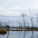 Kashmir. Srinagar. Photo: K.Galat