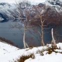 Norway. Norangsfjord. Photo: K.Galat
