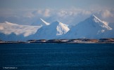 Lofoten islands. Photo: K. Galat