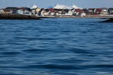 Lofoten islands. Photo: K. Galat