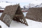 Lofoten islands. Photo: N. Lapina