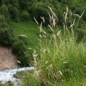 Mamison valley. Nothern Osetia. Photo: K.Galat