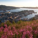 Bergen. Photo: D. Pudenko