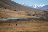 Kyrgizia. National park - Chon-Kemin valley. Photo: K.Galat