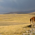 Kyrgizia. Son-Kol lake. Photo: K.Galat