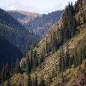Kyrgizia, Maliy Naryn valley. Photo: Konstantin Galat