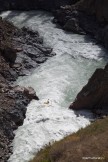 Kyrgizia, Maliy Naryn river. Kayaker: Alexei Lukin. Photo: Konstantin Galat