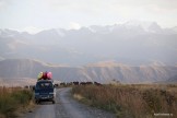 Kyrgizia, Maliy Naryn valley. Photo: Konstantin Galat