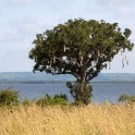Uganda. White Nile. "Murchison Falls" national park. Photo: Konstantin Galat