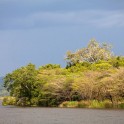 Uganda. White Nile. Photo: Konstantin Galat