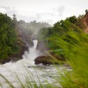 Uganda. "Murchison Falls" national park. Photo: Konstantin Galat