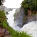 Uganda. "Murchison Falls" national park. Photo: Konstantin Galat
