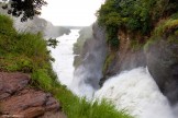 Uganda. "Murchison Falls" national park. Photo: Konstantin Galat
