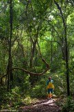 Uganda. Rain forest. Alexey Lukin. Photo: Konstantin Galat