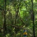 Uganda. Rain forest. Alexey Lukin. Photo: Konstantin Galat