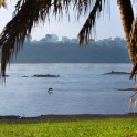 Uganda. White Nile river. "Hairy Lemon" island camp. Photo: Konstantin Galat