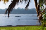 Uganda. White Nile river. "Hairy Lemon" island camp. Photo: Konstantin Galat