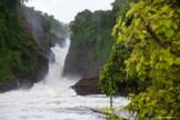Uganda. Murchison Falls. Photo: Oleg Kolmovskiy