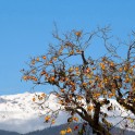 Georgia. Road to Upper Svaneti. Photo: Konstantin Galat