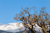 Georgia. Road to Upper Svaneti. Photo: Konstantin Galat