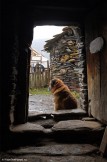 Georgia. Upper Svaneti. Ushguli village. Photo: Maxim Kopylov