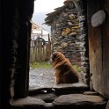 Georgia. Upper Svaneti. Ushguli village. Photo: Maxim Kopylov