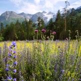 Russia. South Elbrus region. Baksan valley. Photo: Ludmila Zvegintseva