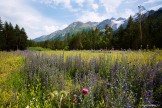 Russia. South Elbrus. Baksan valley. Photo: Ludmila Zvegintseva
