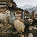 Elbrus region. Terskol village. Photo by Sergey Puzankov Elbrus region. Terskol village. Photo by Sergey Puzankov