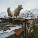 Elbrus region. Terskol village. Photo by Sergey Puzankov Elbrus region. Terskol village. Photo by Sergey Puzankov