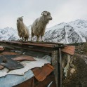 Elbrus region. Terskol village. Photo by Sergey Puzankov