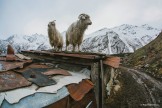 Elbrus region. Terskol village. Photo by Sergey Puzankov