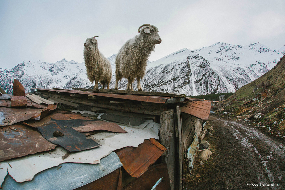 Elbrus region. Terskol village. Photo by Sergey Puzankov