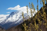 Russia, Caucasus. Baksan valley. Photo by Daria Pudenko