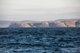 Полярная Экспедиция "Картеш", Баренцево море. Фото: Константин Галат