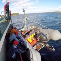 Полярная Экспедиция "Картеш", Белое Море. Команда спускает катер для высадки на берег. Фото: Константин Галат
