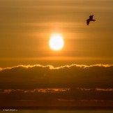 Северная Норвегия. Регион Nord Norge. Фото – Тамара Столбова