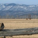 Бурятия. Тункийская долина. Фото - Константин Галат
